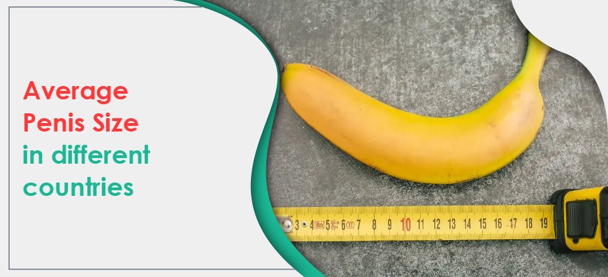 Average Penis Size